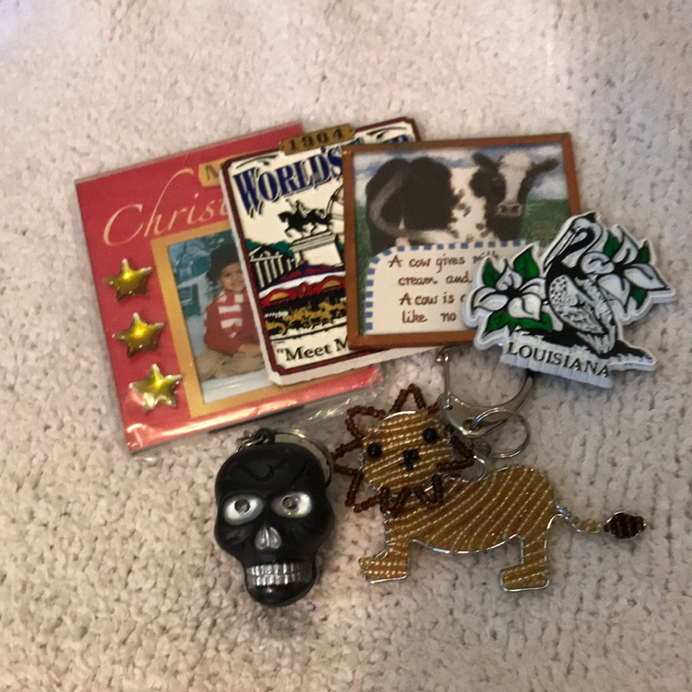 Beaded Lion Keychain and Skull Charm Set &
4 Fridge Magnets
